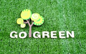 The Benefits of using Green Products